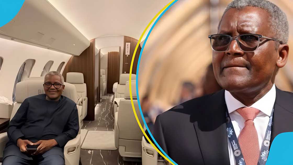 Aliko Dangote, Aliko Dangote's private jet, Aliko Dangote's children, Aliko Dangote's cars, Aliko Dangote's business Aliko Dangote, Aliko Dangote's private jet, Aliko Dangote's children, Aliko Dangote's cars, Aliko Dangote's business
