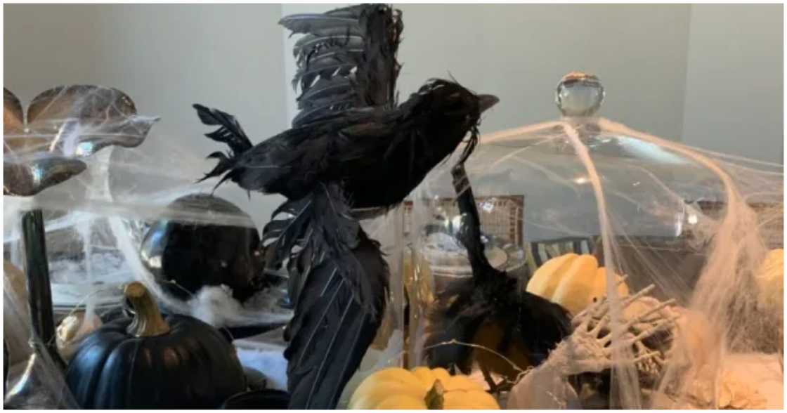Some bizarre Halloween decorations by Kourtney Kardashian Some bizarre Halloween decorations by Kourtney Kardashian