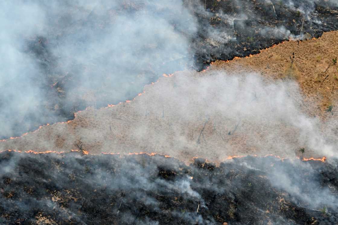 Aerial view of an area of Amazon rainforest deforested by illegal fire in the municipality of Labrea, Amazonas State, Brazil, taken on August 20, 2024 Aerial view of an area of Amazon rainforest deforested by illegal fire in the municipality of Labrea, Amazonas State, Brazil, taken on August 20, 2024