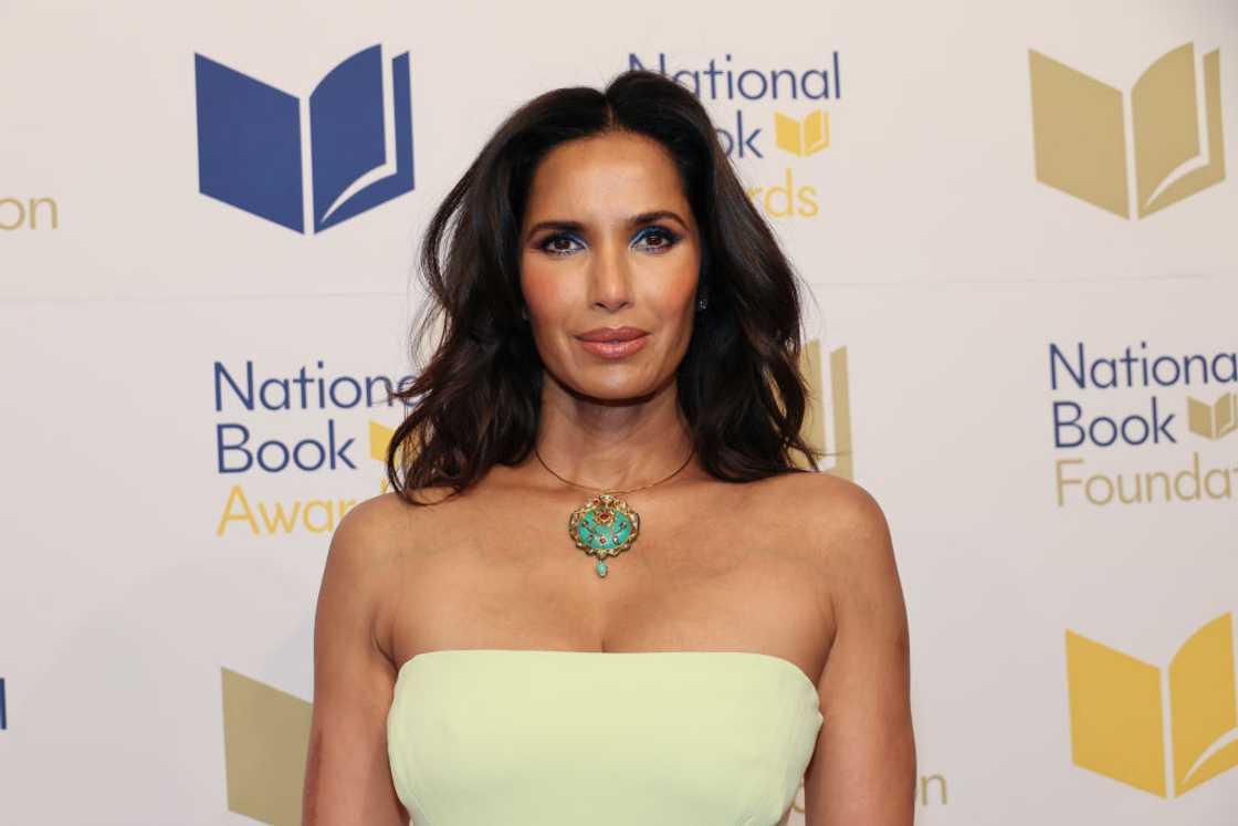 Indian actresses in Hollywood Indian actresses in Hollywood