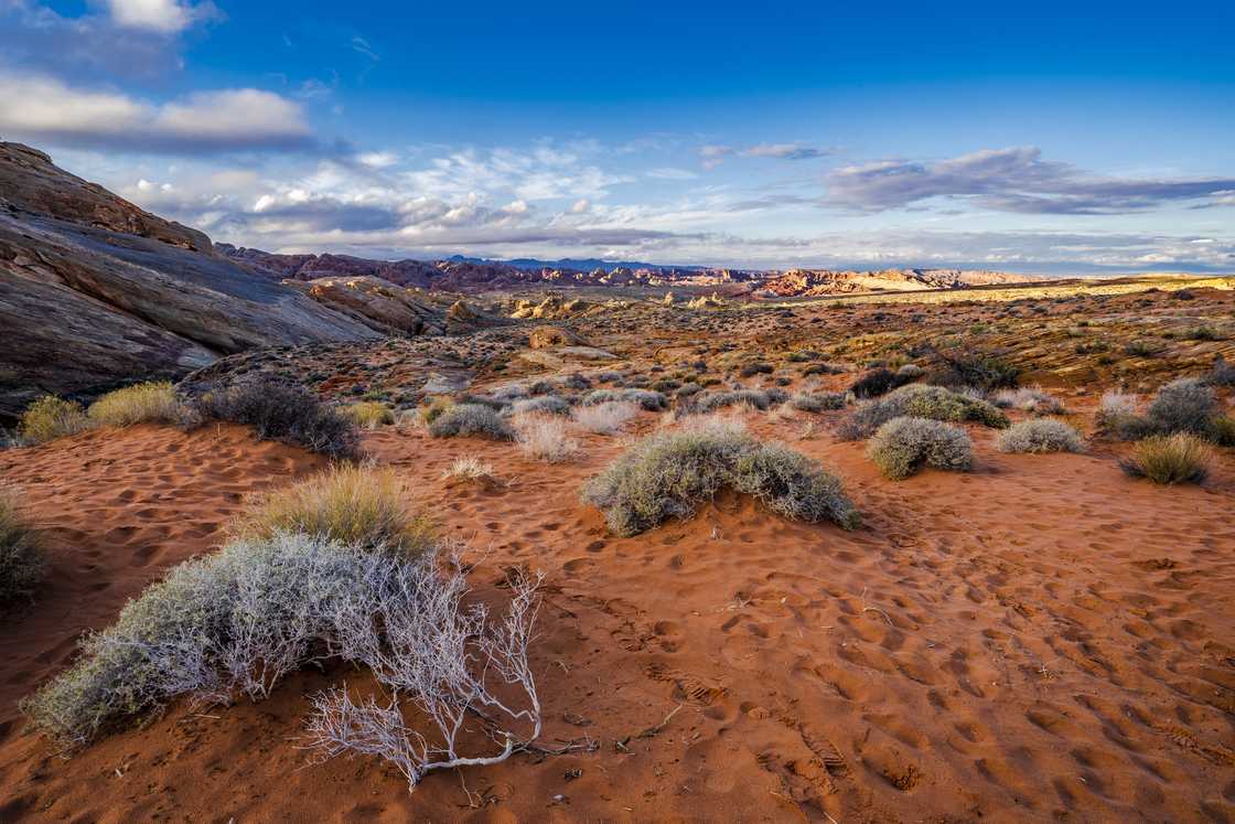 What is the driest desert in the world