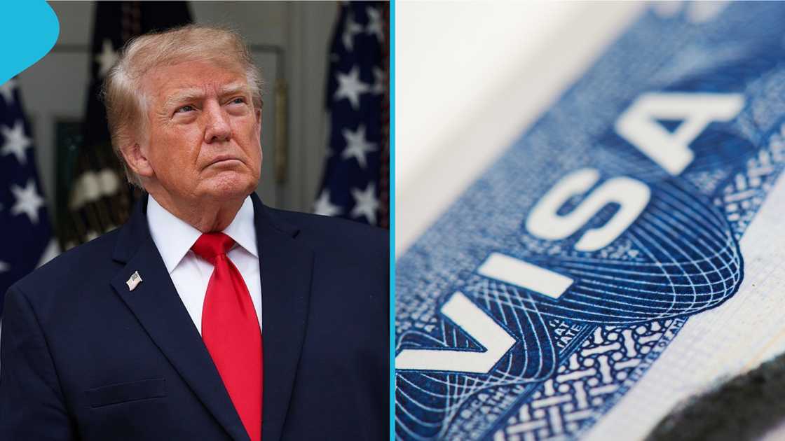 H-1B visa, $100,000 H-1B fee, H-1B visa approvals, US immigration policy, federal court rulings, foreign skilled workers, H-1B premium processing delays, US Citizenship and Immigration Services, H-1B visa petitions, Trump immigration policy