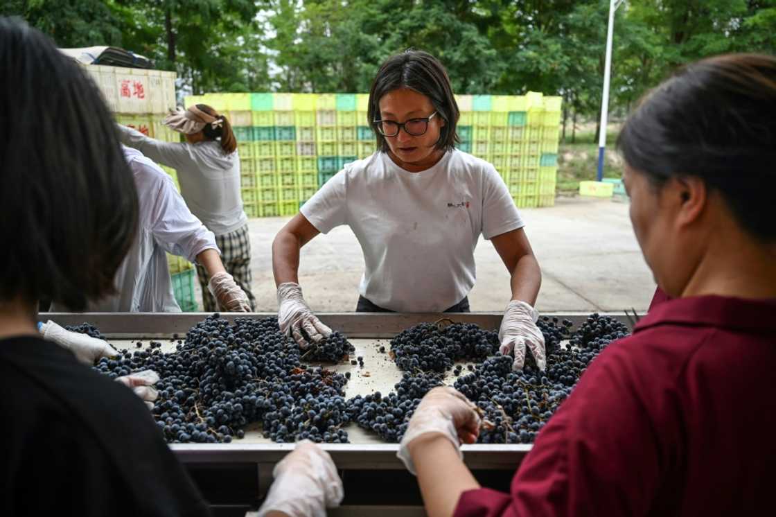 Silver Heights owner Emma Gao's wines have been served by Chinese President Xi Jinping to European leaders at state dinners