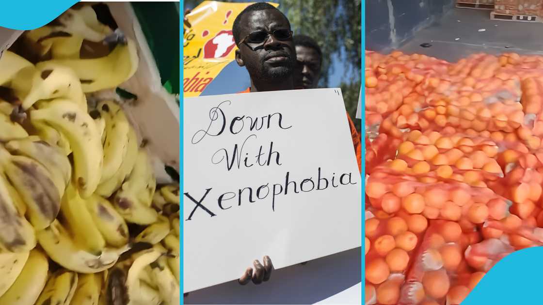 Xenophobic attacks, Xenophobia, South Africa, Food, Spoiled food, Food businesses. Xenophobic attacks, Xenophobia, South Africa, Food, Spoiled food, Food businesses.