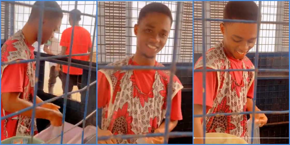 Photo of young man working Photo of young man working