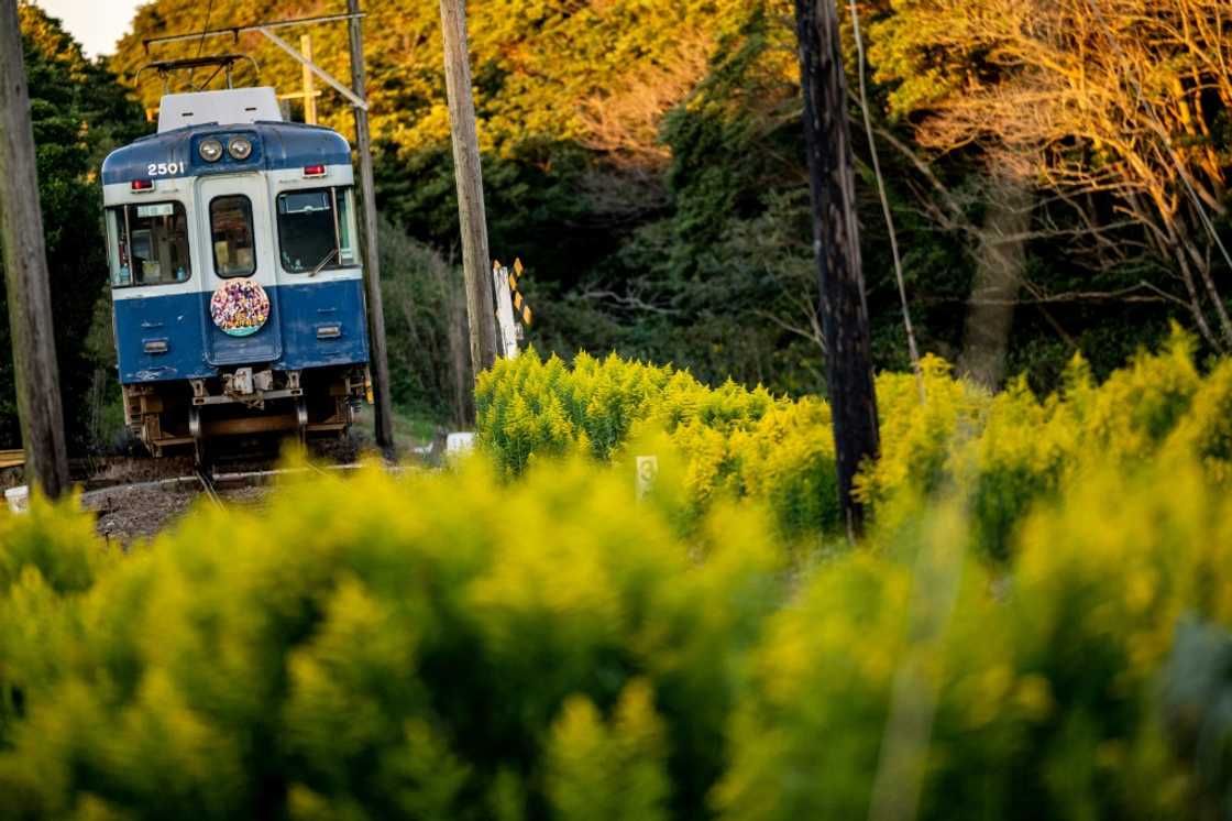 Industry titan East Japan Railway lost $490 million in 2021 keeping 66 of its most problematic rural railway segments afloat Industry titan East Japan Railway lost $490 million in 2021 keeping 66 of its most problematic rural railway segments afloat