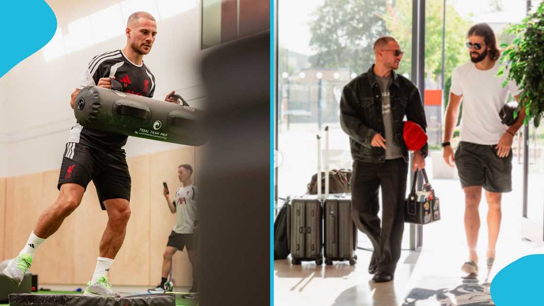 alexis mac allister, dominik szoboszlai, liverpool fc, mac allister hair transplant, mac allister photo, liverpool training alexis mac allister, dominik szoboszlai, liverpool fc, mac allister hair transplant, mac allister photo, liverpool training
