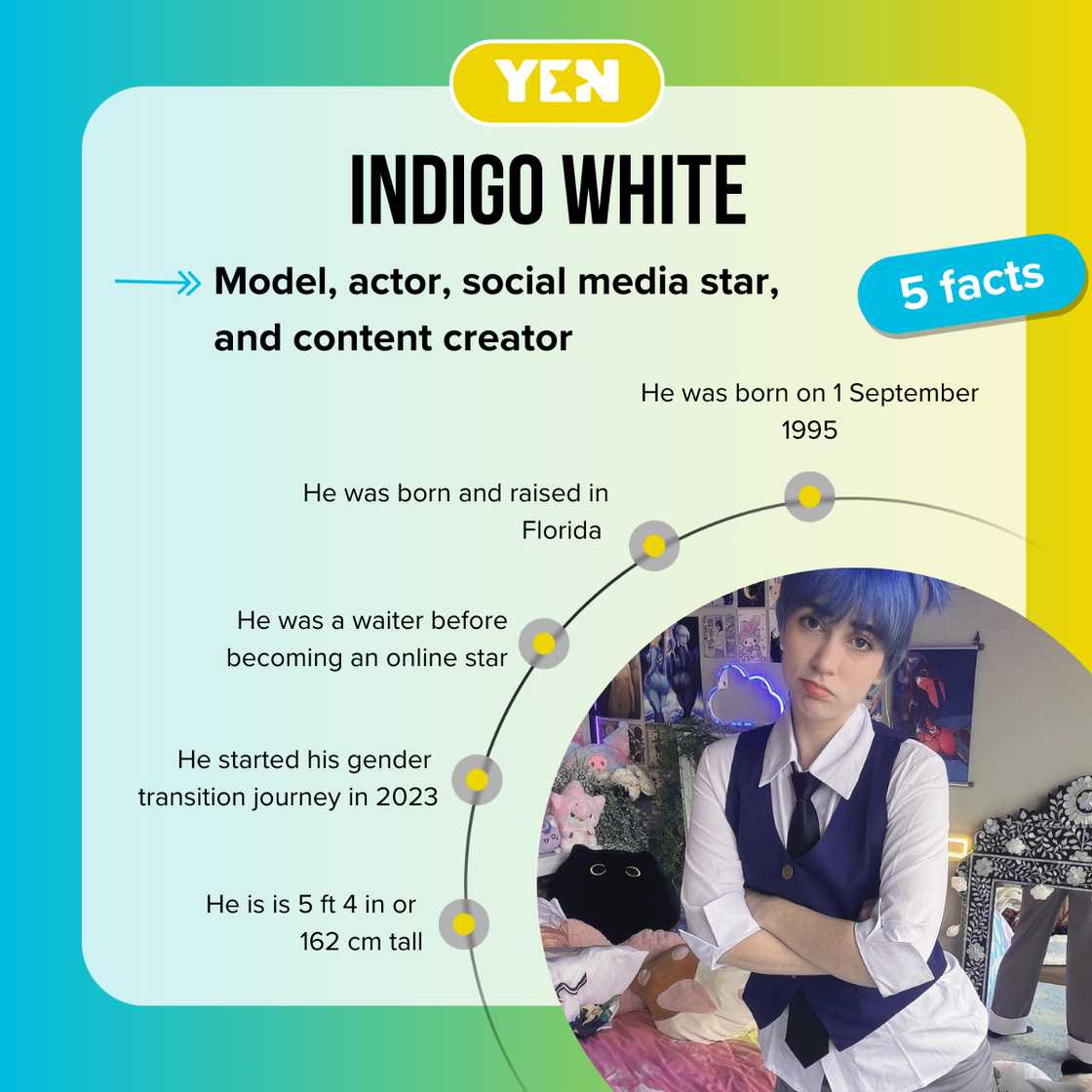 Top-5 facts about Indigo White