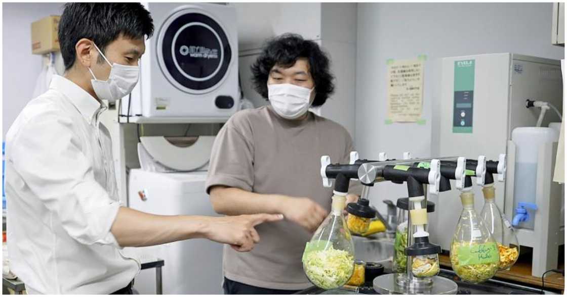 Scientists in Japan turning waste food into edible cement Scientists in Japan turning waste food into edible cement