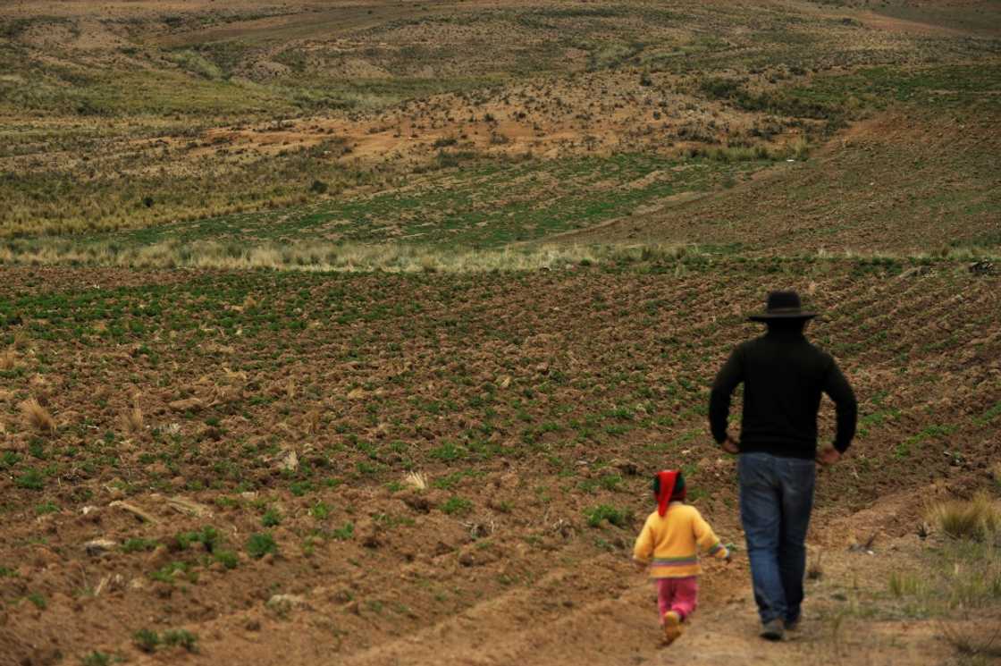 Normally, the region receives up to 70 percent of its annual rainfall between November and March, but in 2022, it came only at the end of December Normally, the region receives up to 70 percent of its annual rainfall between November and March, but in 2022, it came only at the end of December