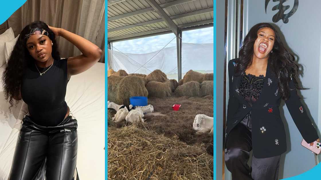 Farida Mahama, President Mahama, Farida old photos, Farida childhood photos, President Mahama's children, Farida Mahaam designer bags, Farida Mahama fashion