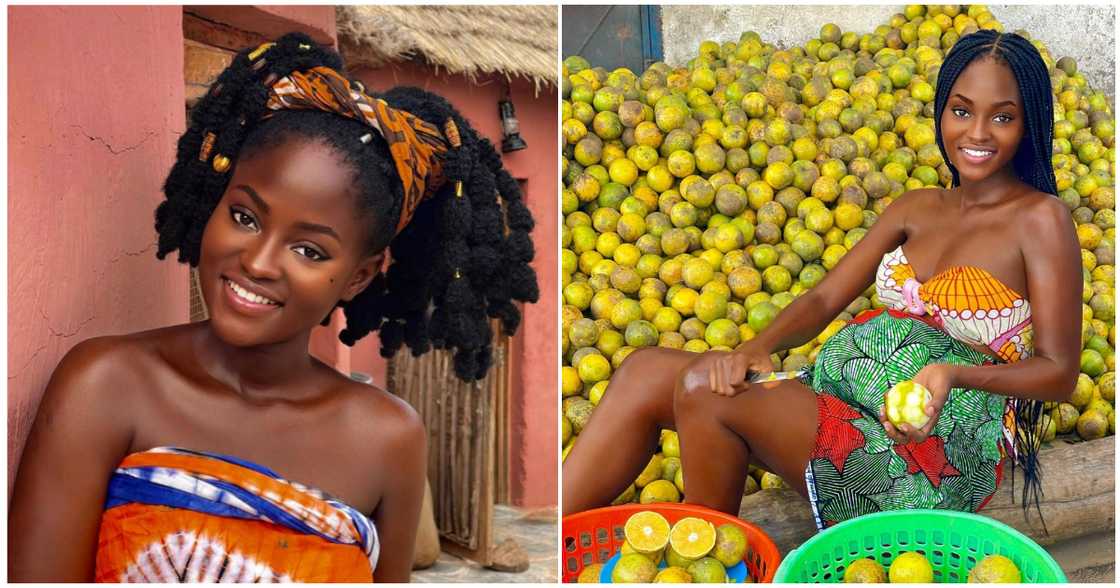 Hamamat dazzling in pictures Hamamat dazzling in pictures