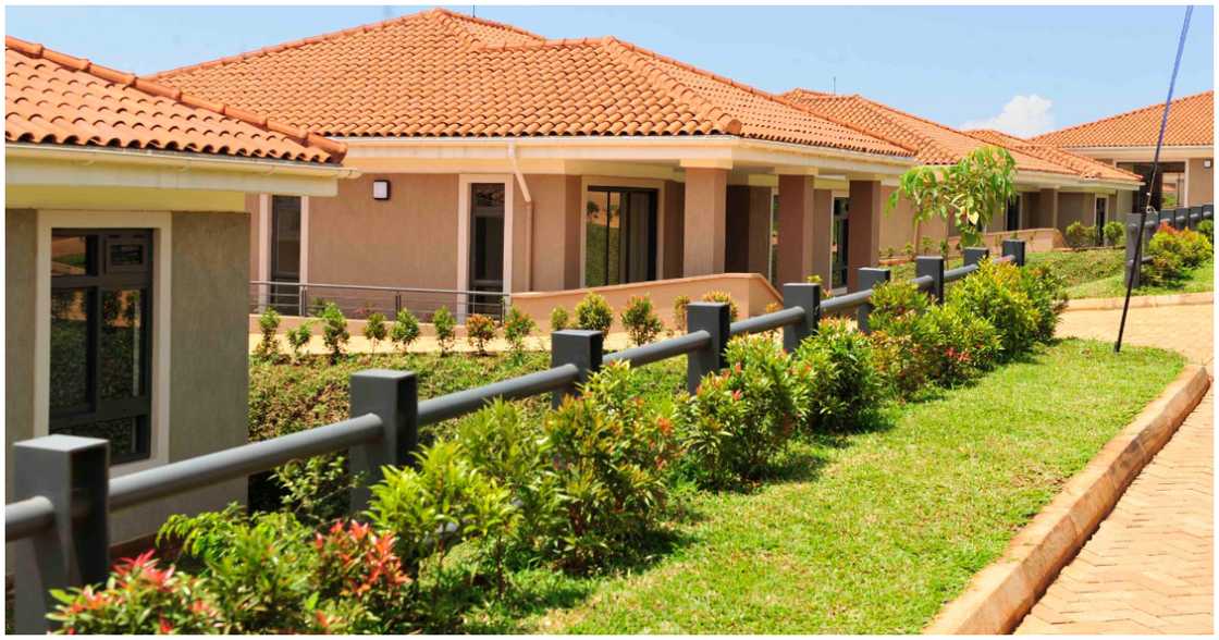 Some residential bungalows in the housing project