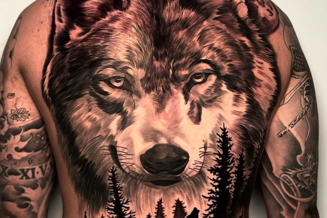 A man is donning a wolf head tattoo on his back A man is donning a wolf head tattoo on his back