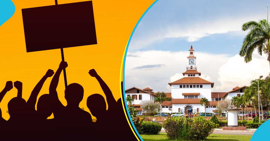 Senior staff of universities strike