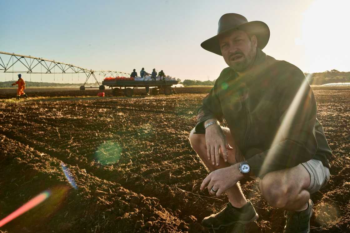 Farmer Daniel Burger wants Zimbabwe to reestablish its former glory as an agricultural powerhouse Farmer Daniel Burger wants Zimbabwe to reestablish its former glory as an agricultural powerhouse