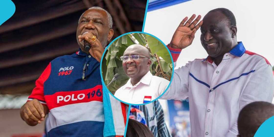 NPP flagbearer aspirants