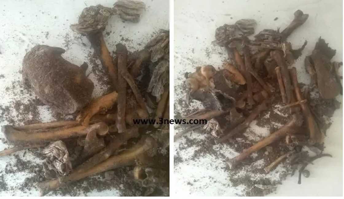 Kasoa bones Kasoa bones