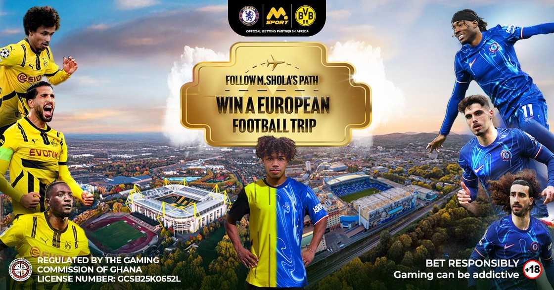 Football Trip, Football, Trip, BVB, Chelsea, Msport, Bet, Sport, Sport Bet Football Trip, Football, Trip, BVB, Chelsea, Msport, Bet, Sport, Sport Bet