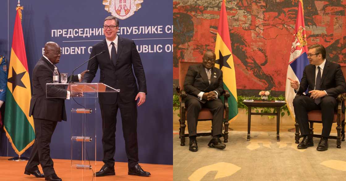 Serbian President says Akufo-Addo is one of the wisest men in the world Serbian President says Akufo-Addo is one of the wisest men in the world