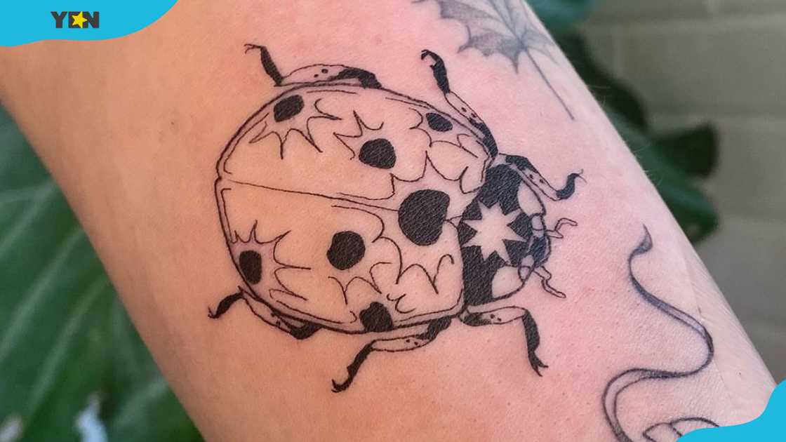 A black and white ladybug tattoo with dark spots and star accents