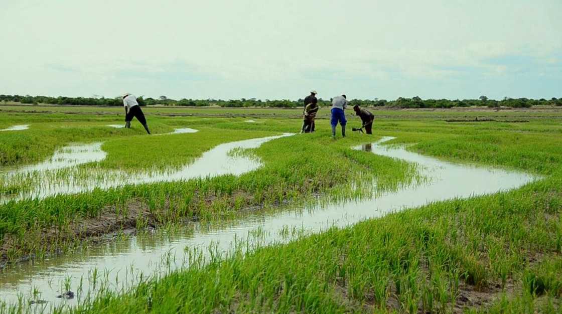 The Upper East Region districts The Upper East Region districts