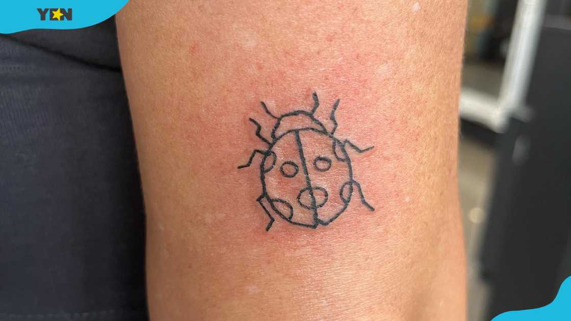 A minimalist ladybug tattoo in a clean line-drawn style A minimalist ladybug tattoo in a clean line-drawn style