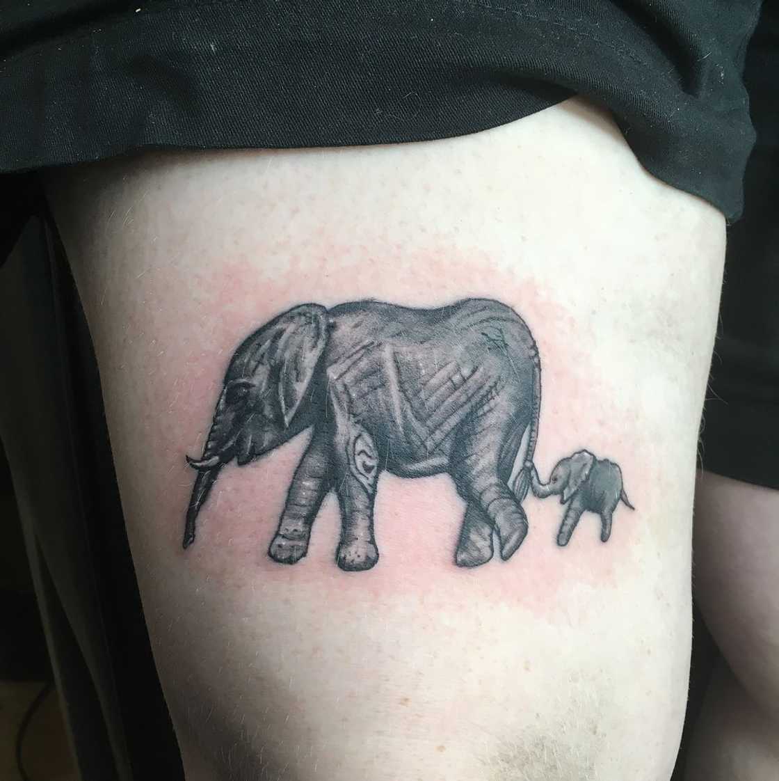 Elephant tattoo Elephant tattoo