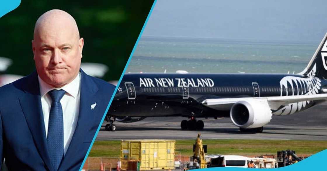 New Zealand, immigration authorities, deportation, foreign nationals, New Zealand border, visit New Zealand, entertainers work visa New Zealand, immigration authorities, deportation, foreign nationals, New Zealand border, visit New Zealand, entertainers work visa