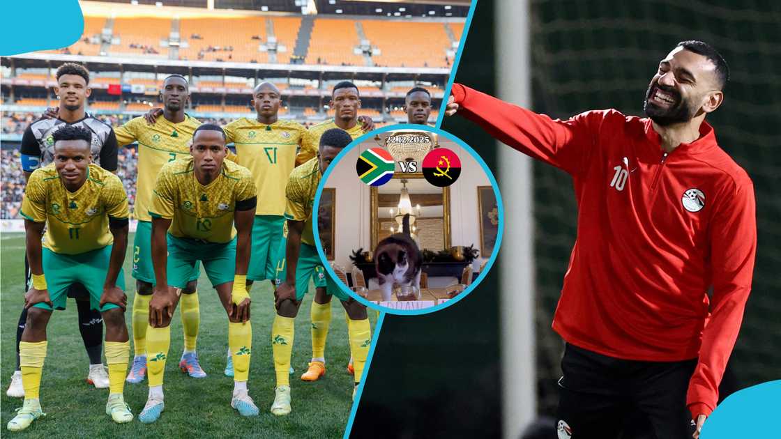 AFCON 2025, football predictions, Nimbus Pronos, South Africa vs Angola, Egypt vs Zimbabwe, cat oracle, Africa Cup of Nations, feline predictions, Mali vs Zambia. AFCON 2025, football predictions, Nimbus Pronos, South Africa vs Angola, Egypt vs Zimbabwe, cat oracle, Africa Cup of Nations, feline predictions, Mali vs Zambia.