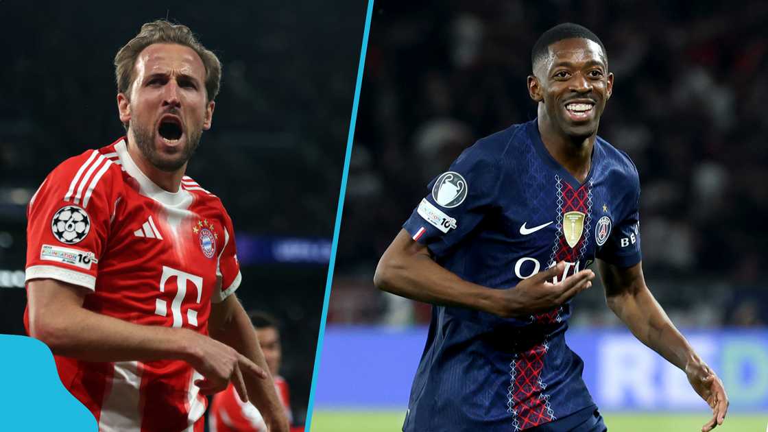 UEFA Champions League, Bayern Munich, Paris Saint-Germain, psychic cat, Nimbus Pronos, football predictions, Bayern vs PSG, Bayern vs PSG semi-final preview, Champions League history, Harry Kane, Ousmane Dembele, William Pacho. UEFA Champions League, Bayern Munich, Paris Saint-Germain, psychic cat, Nimbus Pronos, football predictions, Bayern vs PSG, Bayern vs PSG semi-final preview, Champions League history, Harry Kane, Ousmane Dembele, William Pacho.