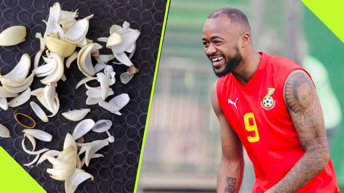 Sudan FA report Ghana to Libyan authorities after spotting onions on pitch. Sudan FA report Ghana to Libyan authorities after spotting onions on pitch.