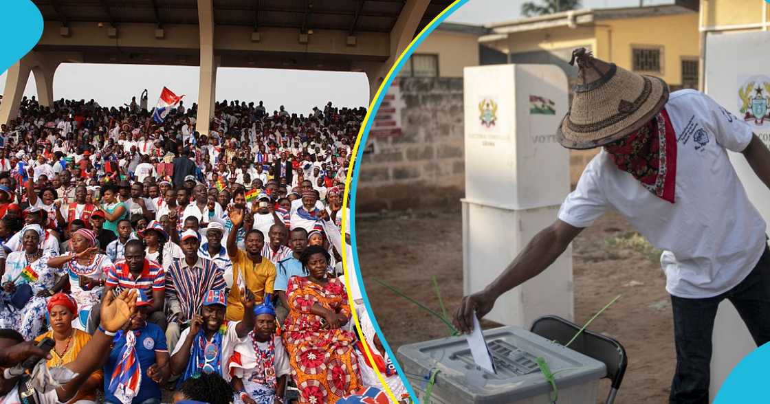 NPP presidential primaries