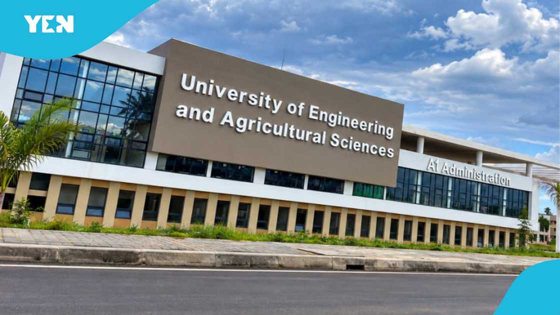 University admissions in Ghana, University of Engineering and Agricultural Sciences, UEAS admissions 2026/2027, Ghana universities, Bunso university, engineering programmes in Ghana University admissions in Ghana, University of Engineering and Agricultural Sciences, UEAS admissions 2026/2027, Ghana universities, Bunso university, engineering programmes in Ghana