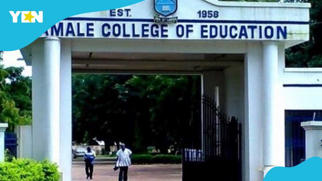 The government and CETAG have signed an MoU as the teachers strike draws to a close The government and CETAG have signed an MoU as the teachers strike draws to a close