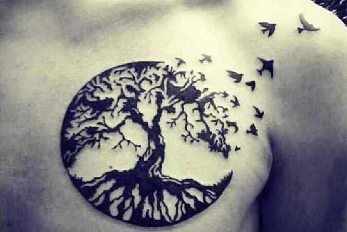 tree of life tattoo ideas tree of life tattoo ideas