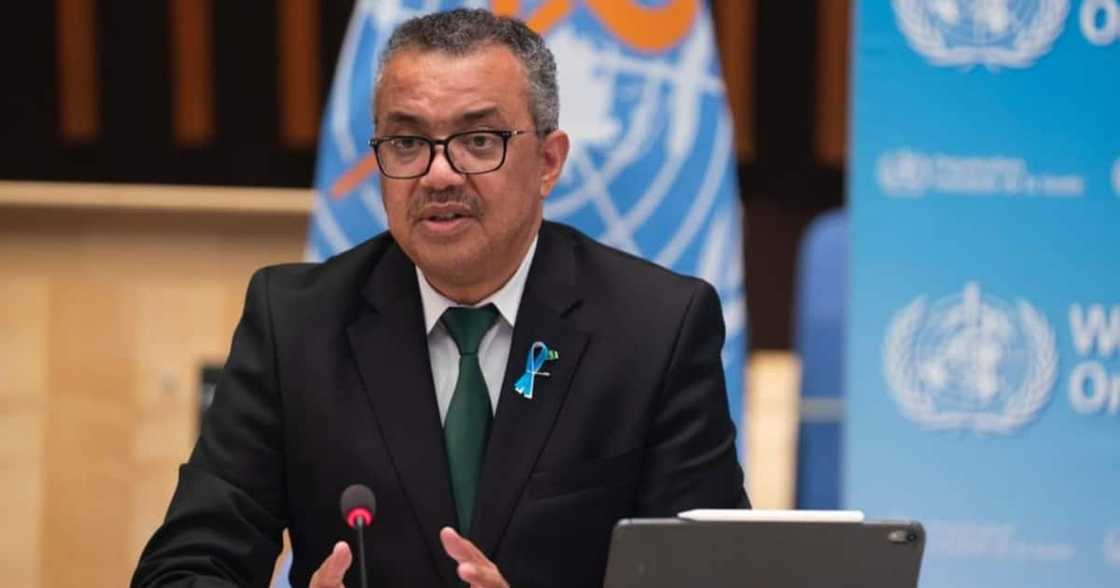 Monkeypox , WHO, virus, 100 cases, panic Monkeypox , WHO, virus, 100 cases, panic