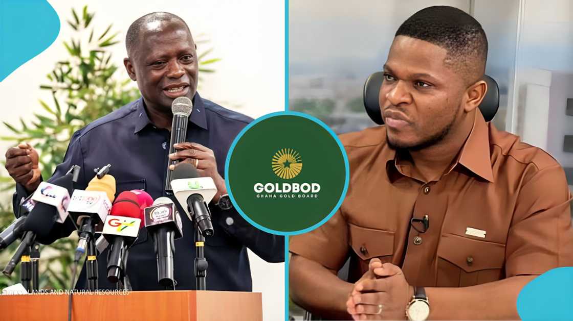 Emmanuel Armah-Kofi Buah, Marcus Haligah, GoldBod Board representative, Ministry of Lands and Natural Resources, Buah GoldBod resignation claims, Ghana government, GoldBod board appointment, Ghana natural resources Emmanuel Armah-Kofi Buah, Marcus Haligah, GoldBod Board representative, Ministry of Lands and Natural Resources, Buah GoldBod resignation claims, Ghana government, GoldBod board appointment, Ghana natural resources