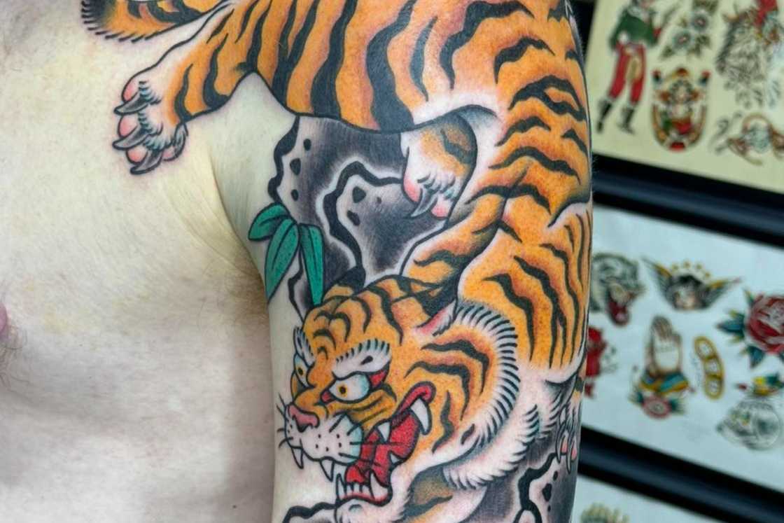 Upper arm traditional Japanese tiger tattoo Upper arm traditional Japanese tiger tattoo