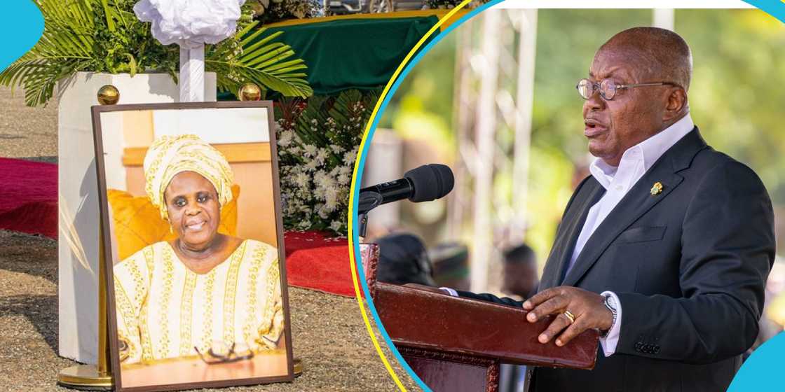 Nana Akufo-Addo has extolled the late Ama Ata Aidoo as an irreplaceable Ghanaian literary genius. Nana Akufo-Addo has extolled the late Ama Ata Aidoo as an irreplaceable Ghanaian literary genius.