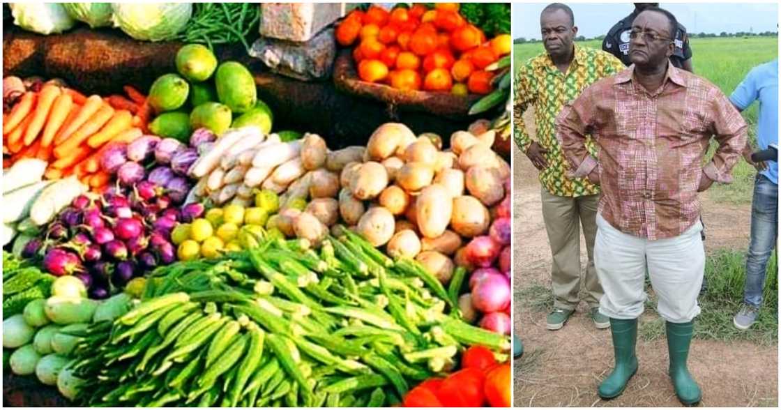 Agric minister Dr Owusu Afriyie Akoto has started selling food items at the premises of the agric ministry.