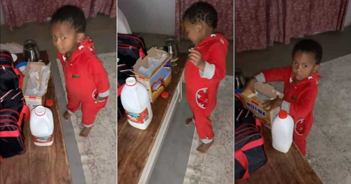 social media users are reacting to an adorable boy making his mom breakfast. Image: Facebook