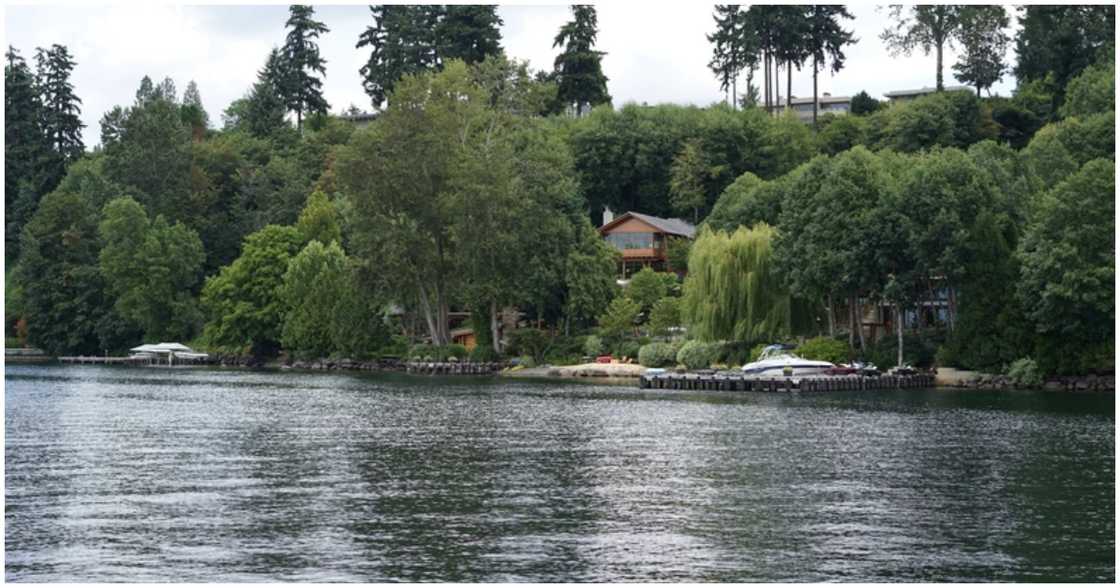 The house uses its natural surroundings to cool it