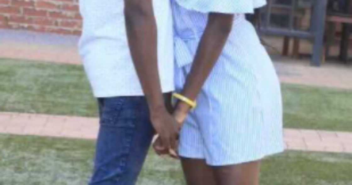 Student researchers discover seedlings that can restore the lost fertility of destroyed lands Student researchers discover seedlings that can restore the lost fertility of destroyed lands