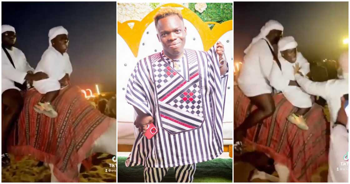 Shatta Bandle rides a camel in Dubai. Shatta Bandle rides a camel in Dubai.