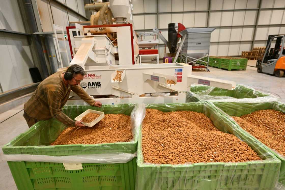 France has more than 2,700 hectares of almond trees France has more than 2,700 hectares of almond trees