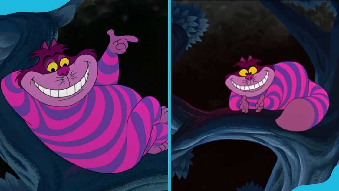 Cheshire Cat from Alice in Wonderland Cheshire Cat from Alice in Wonderland