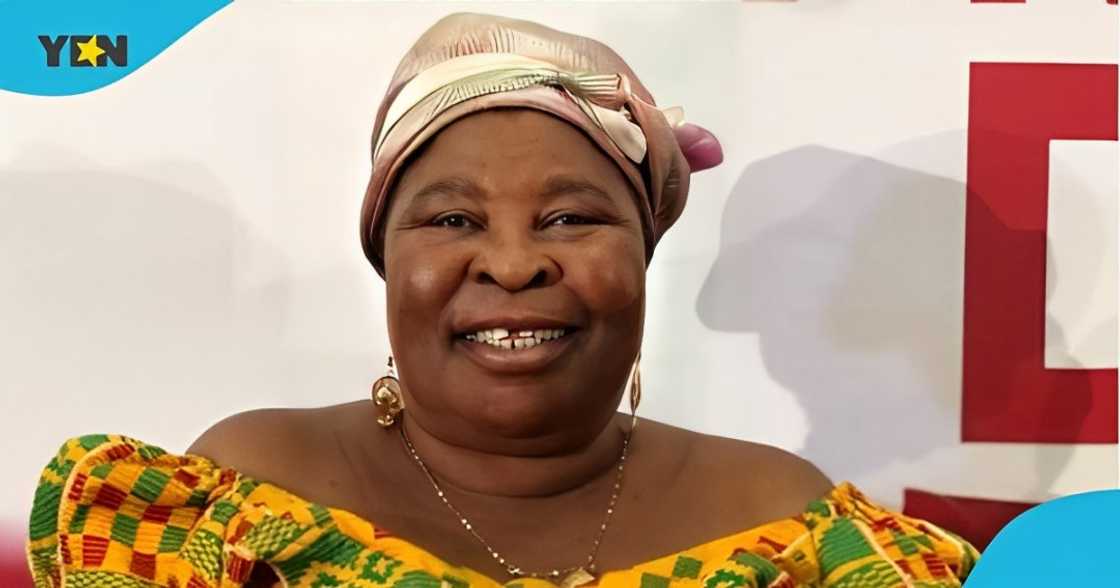 Akua Donkor, Akua Donkor dies, Akua Donkor's health concerns, Ghana Freedom Party, Roman Fada, Ghana elections Akua Donkor, Akua Donkor dies, Akua Donkor's health concerns, Ghana Freedom Party, Roman Fada, Ghana elections