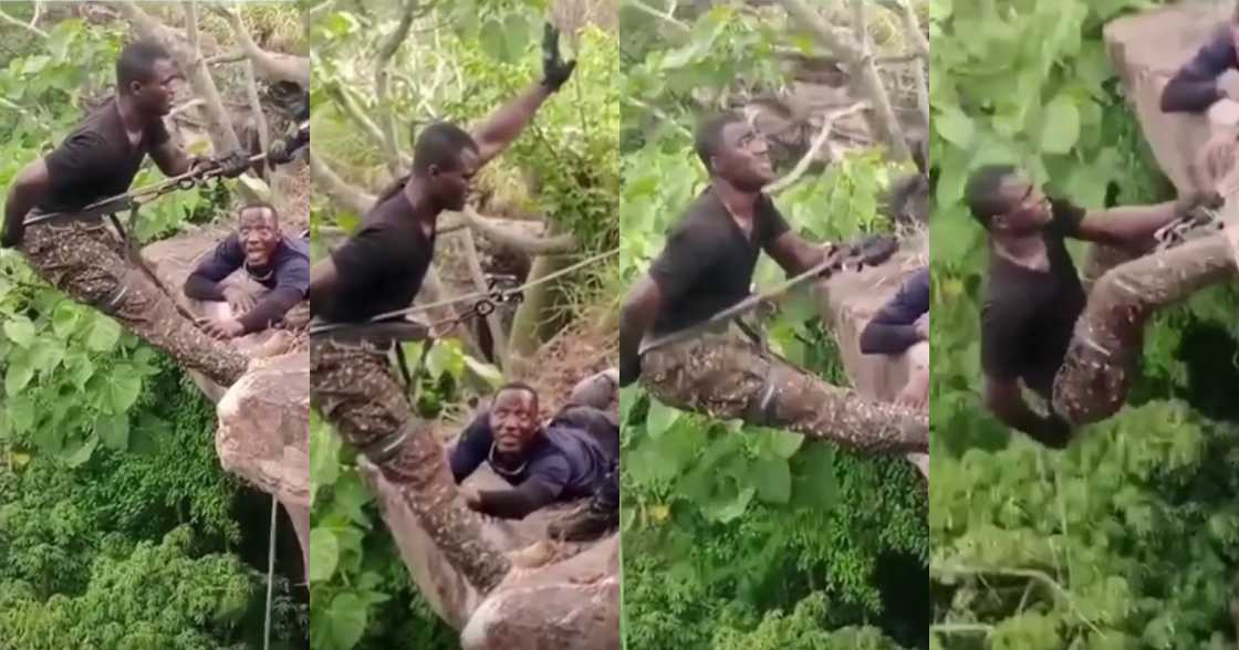 Video of 'fearo' security personnel going through rapel training cracks ribs online Video of 'fearo' security personnel going through rapel training cracks ribs online