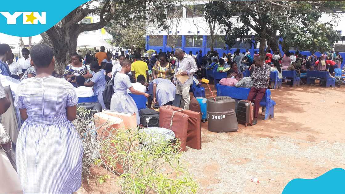 Ghana Education Service, Harmonised Prospectus, SHS Freshers, BECE, SHS provisions, BECE results